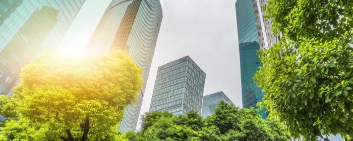 How ESG risks can affect your business