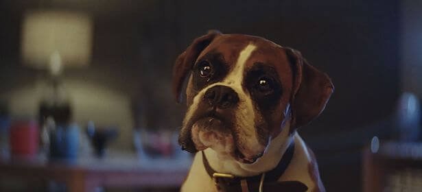 Christmas adverts: Which brands have had the best public response?